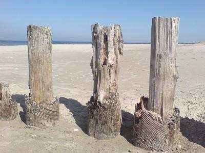 Glebbe 66 _ Hus Suennschien Zingst